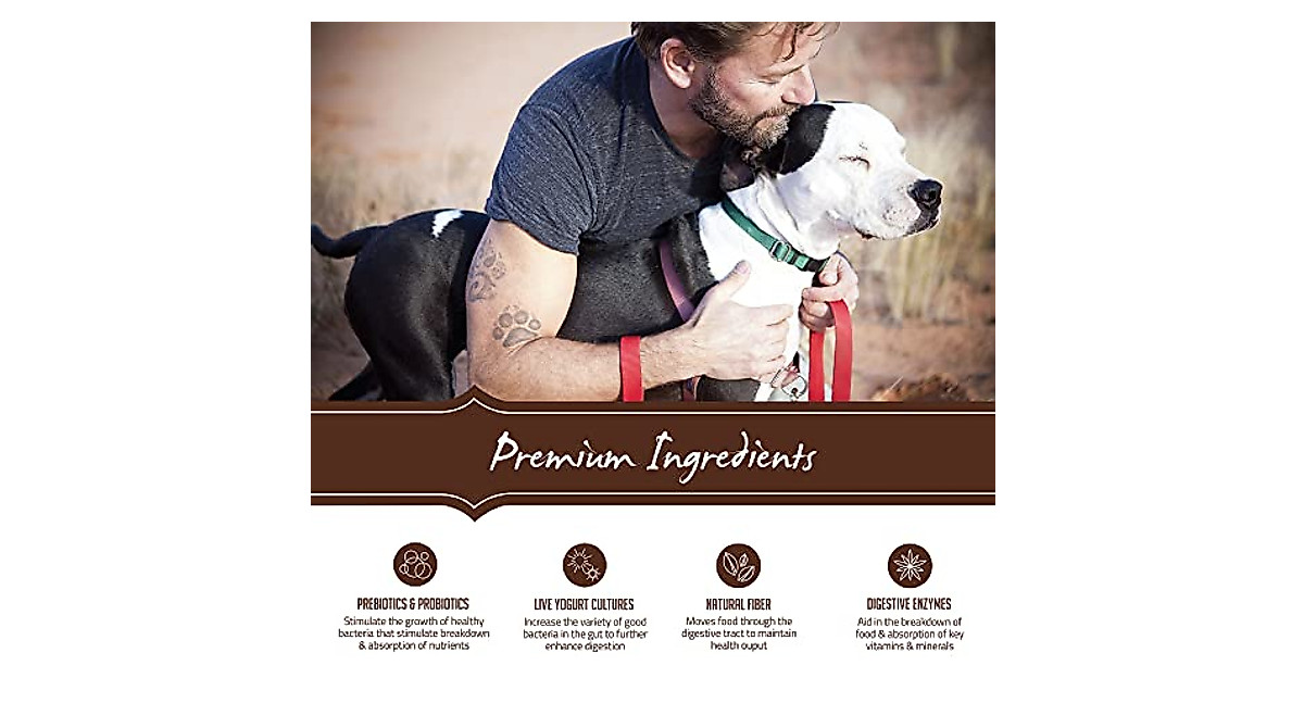 Holistic Select Natural Dry Dog Food – Digestive Health