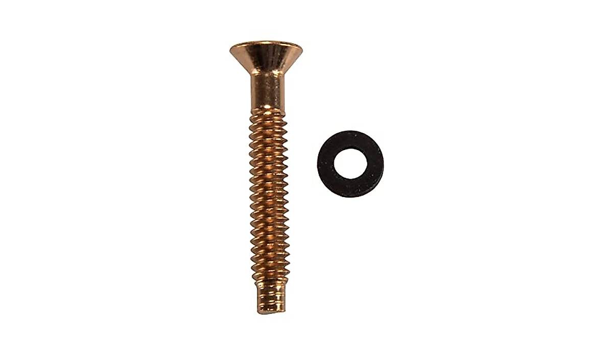 Pentair Brass Pilot Screw with Gum Washer for Pool & Spa Lights