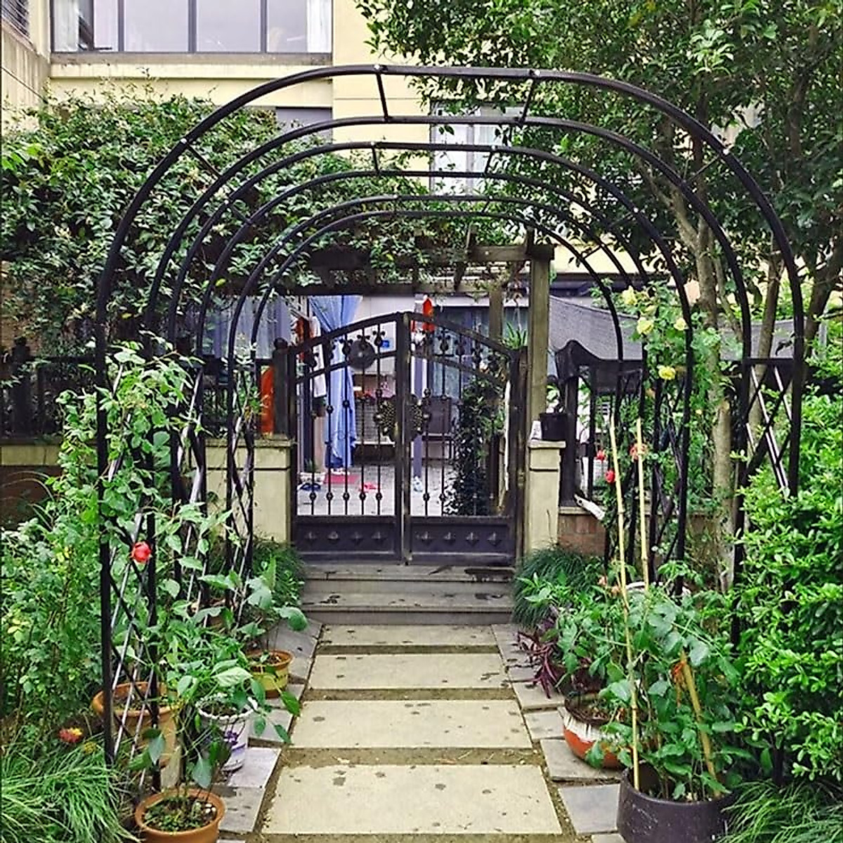 Stylish Black Metal Garden Arch for Climbing Plants