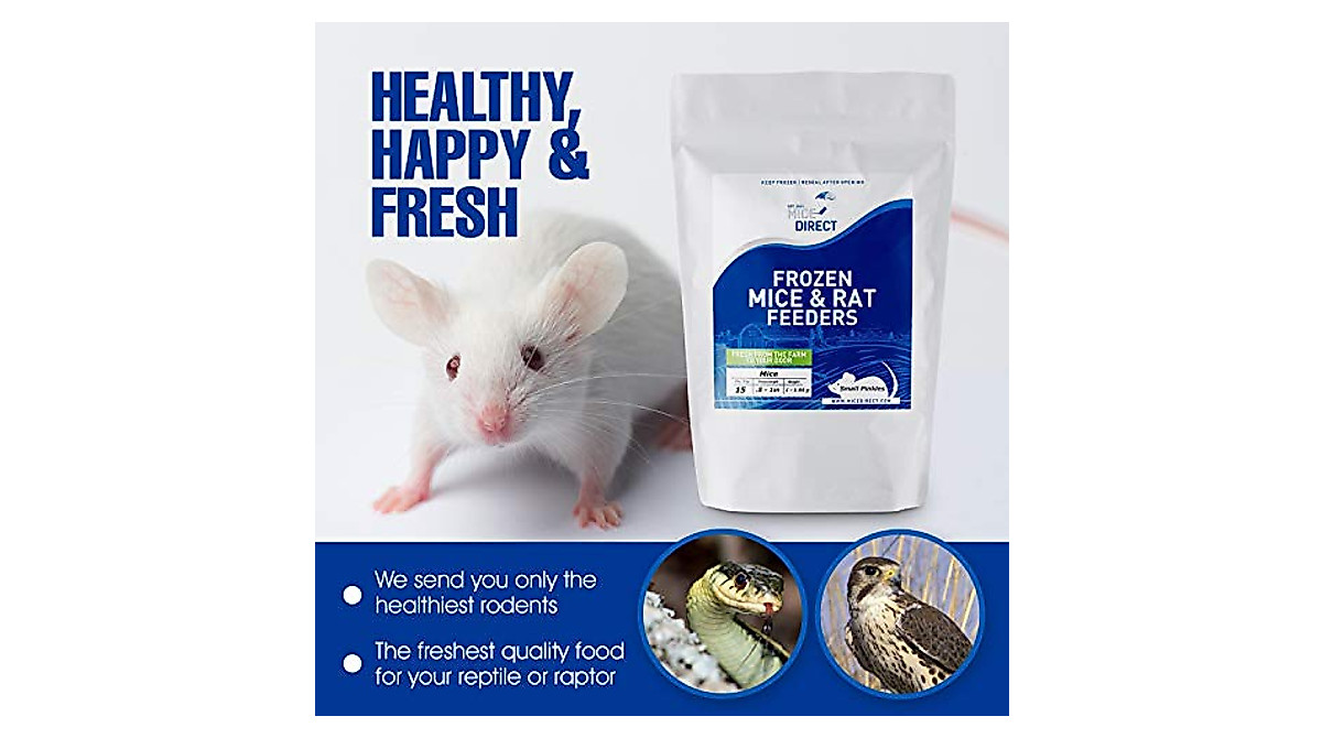 MiceDirect Frozen Rat Combo Pack for Snakes & Pythons