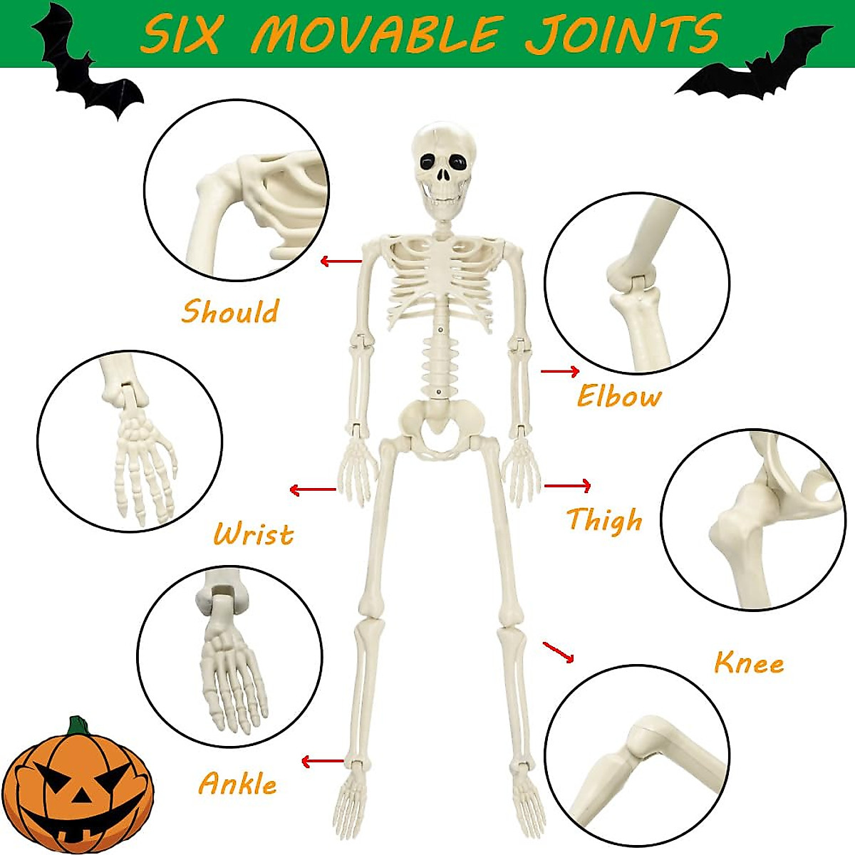 Realistic 36-Inch Skeleton Halloween Decoration for Haunted Houses