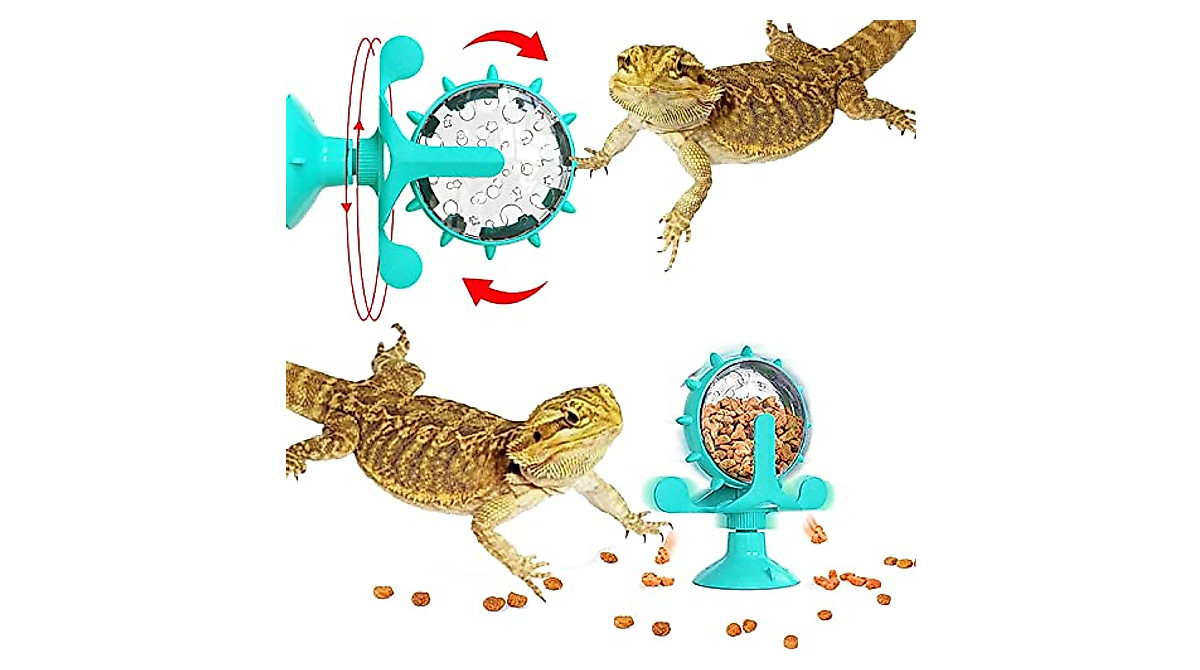 Interactive 360° Bearded Dragon Toys for Enrichment & Fun