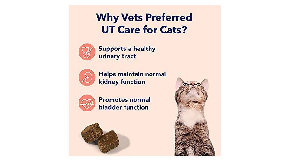 Vets Preferred Cat Urinary Tract Chews - 60 Count