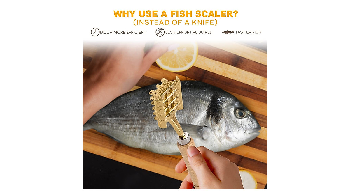 TIKUSAN Fish Scaler - Easy, Mess-Free Fish Descaler Made in Japan