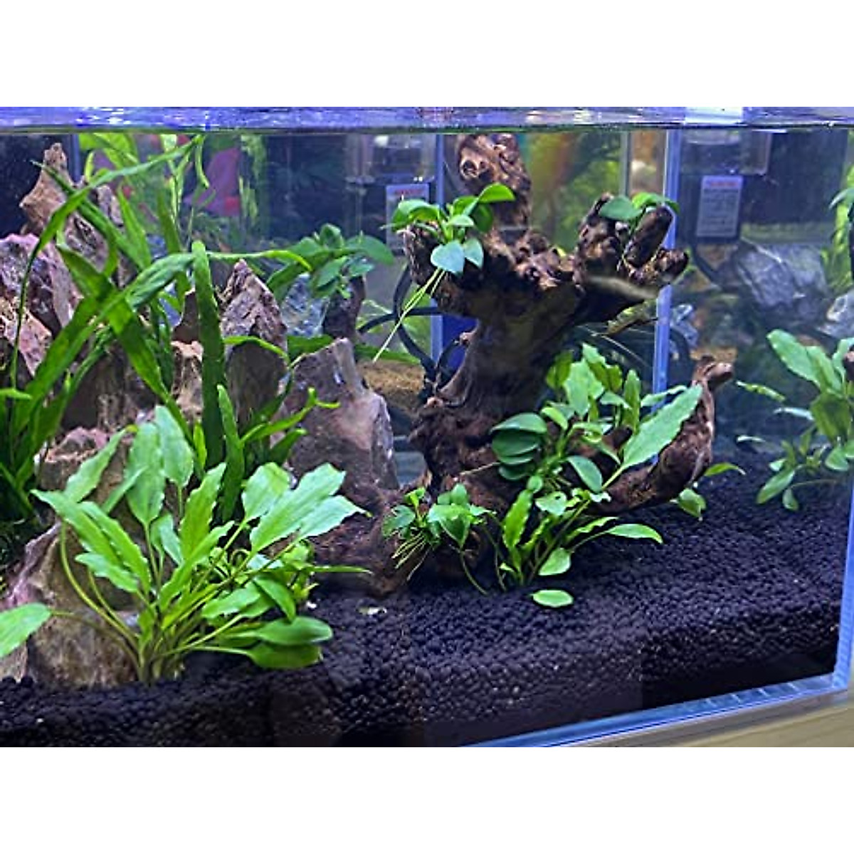Landen Aqua Soil for Healthy Freshwater Aquariums