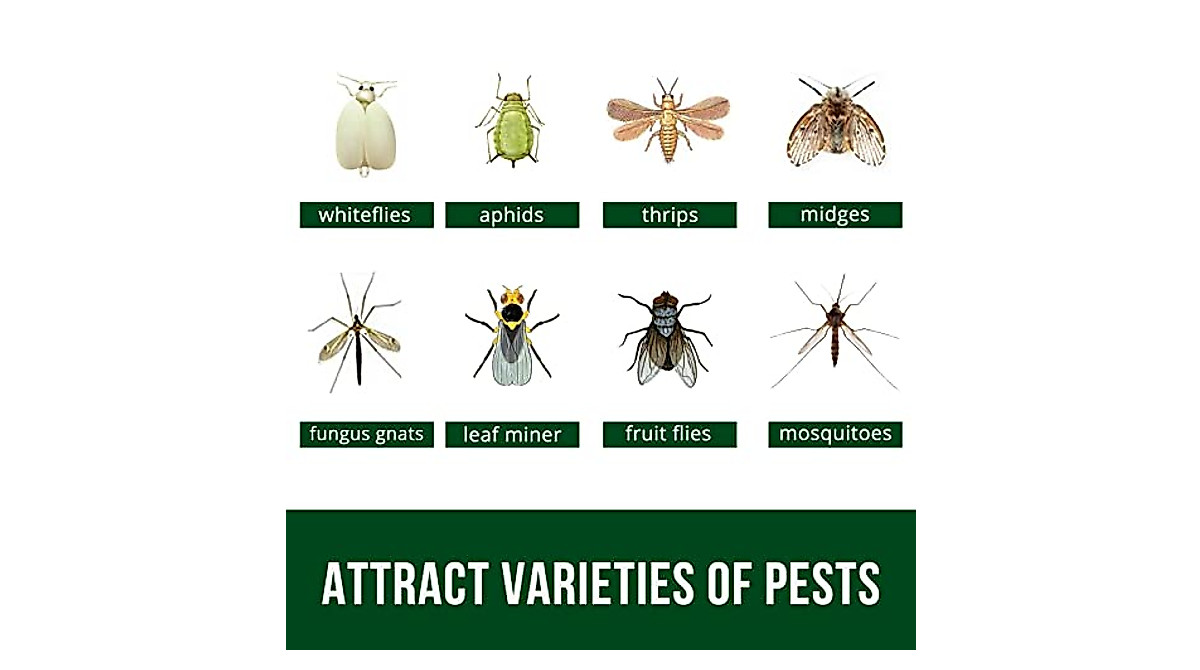 Garsum Yellow Sticky Traps for Indoor Pest Control | Safe & Effective