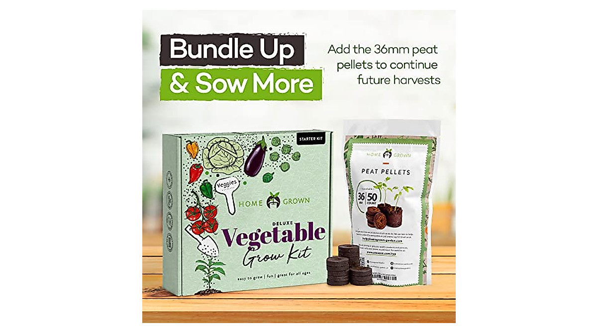 Vegetable Garden Starter Kit with 250+ Seeds – Indoor Gardening Made Easy