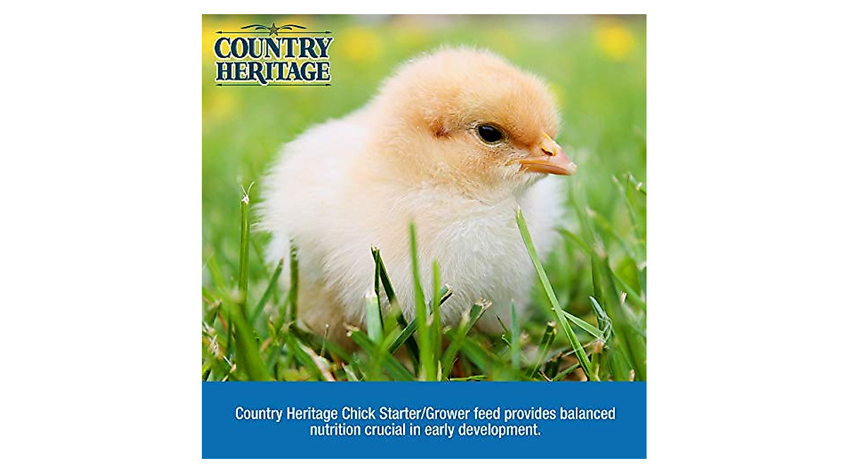 Country Heritage Medicated Chick Feed | Grower Crumbles for 16 Weeks