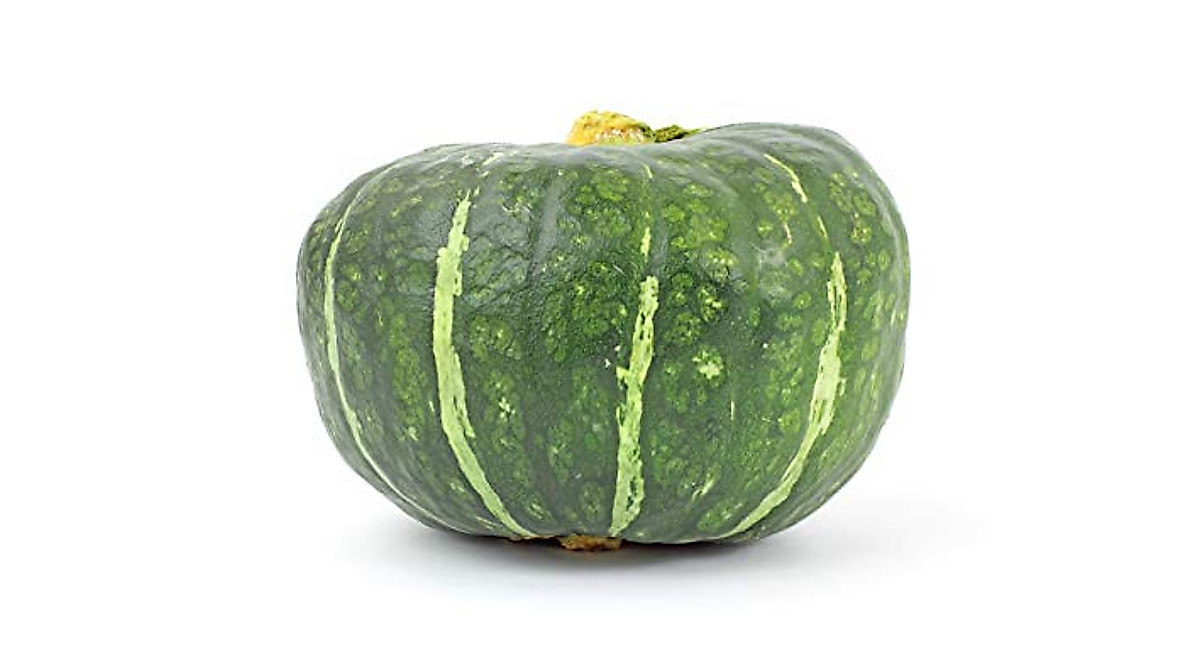 Grow Burgess Buttercup Winter Squash | Heirloom Seeds for Home Gardening
