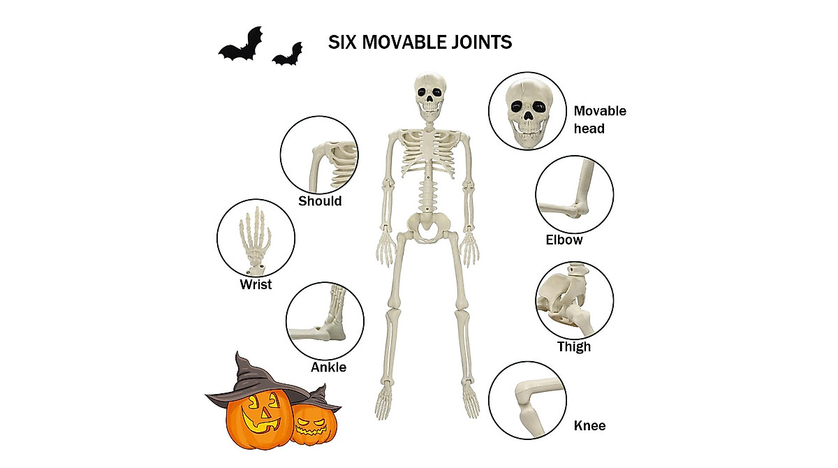 36-Inch Halloween Skeleton Decor - Realistic Posable Skeleton Prop