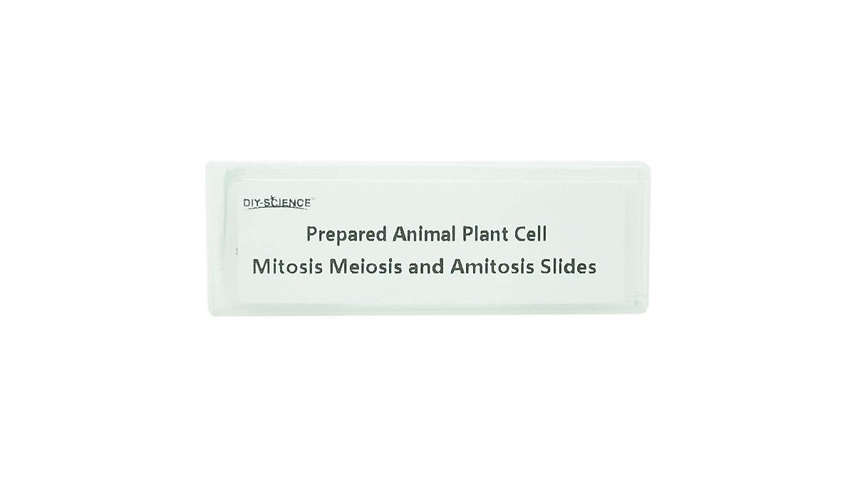 Prepared Animal & Plant Cell Microscope Slides Set for Biology Class