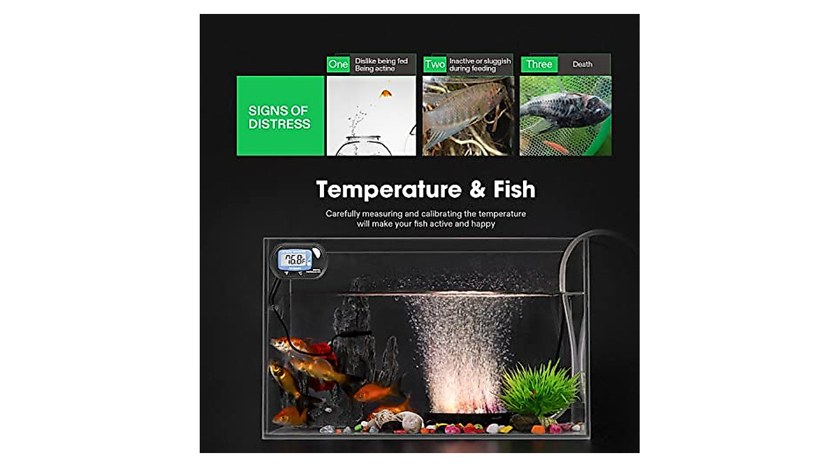 Photo inspiration: Visual Reference: Vivosun Lcd Digital Aquarium Thermometer