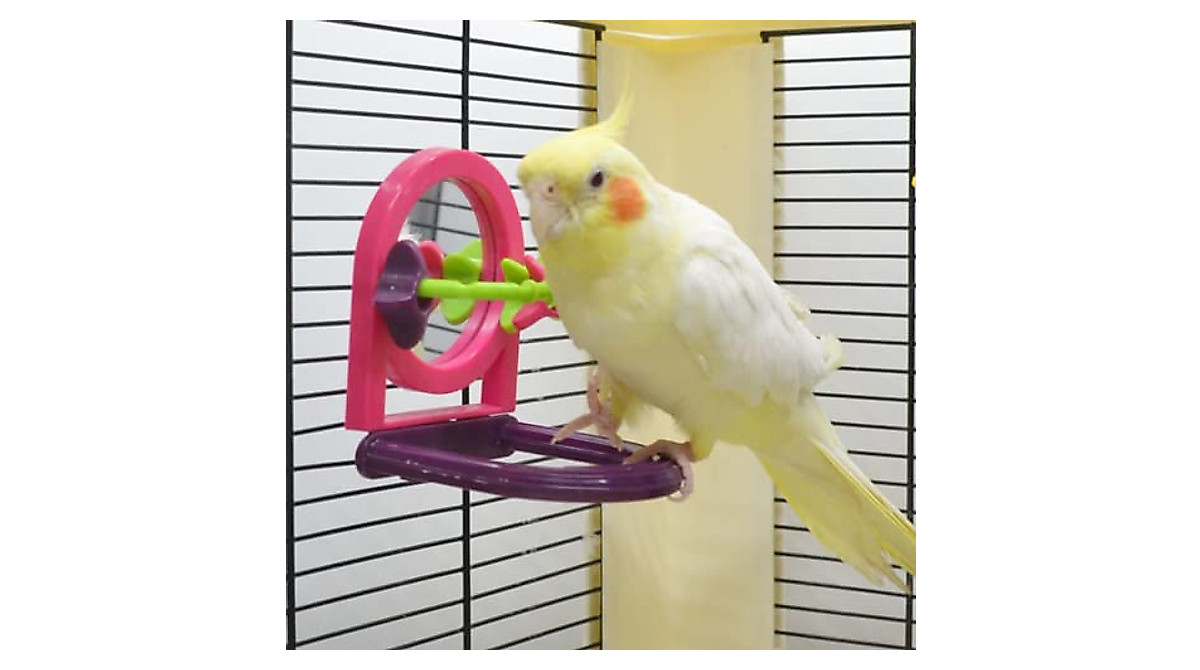 Interactive Bird Toy with Mirror for Small Birds