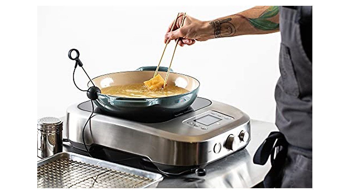 Breville PolyScience Control Freak Induction Cooker - Precise ...