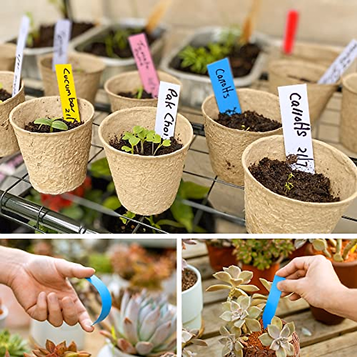 Durable Waterproof Plant Labels - 200 Colorful Garden Tags