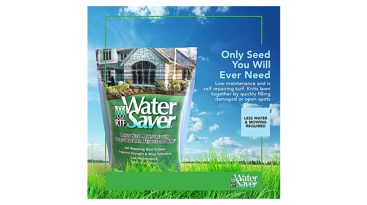 WaterSaver Grass Mixture - Ideal for Every Lawn