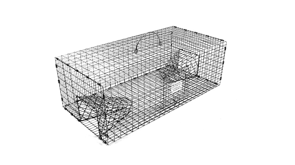 thumbnail image 2 of Tomahawk 502R Double Door Pigeon Trap - Catch 15+ Birds Humanely 2 of 5