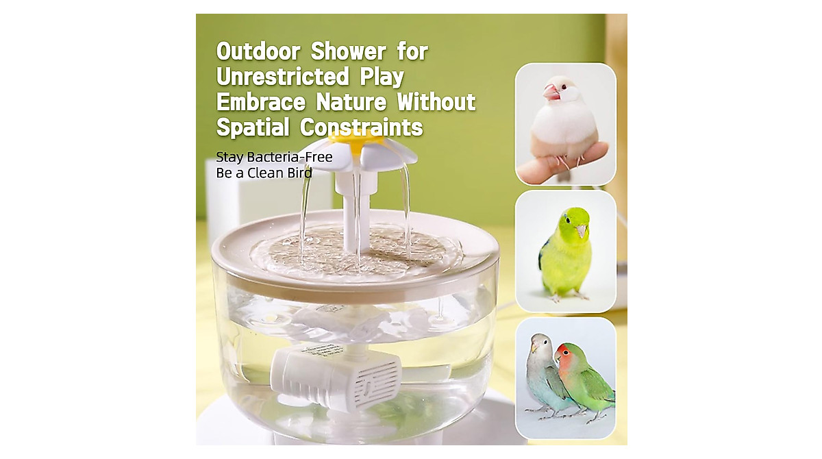 Indoor Bird Bath with Circulating Filter Fountain