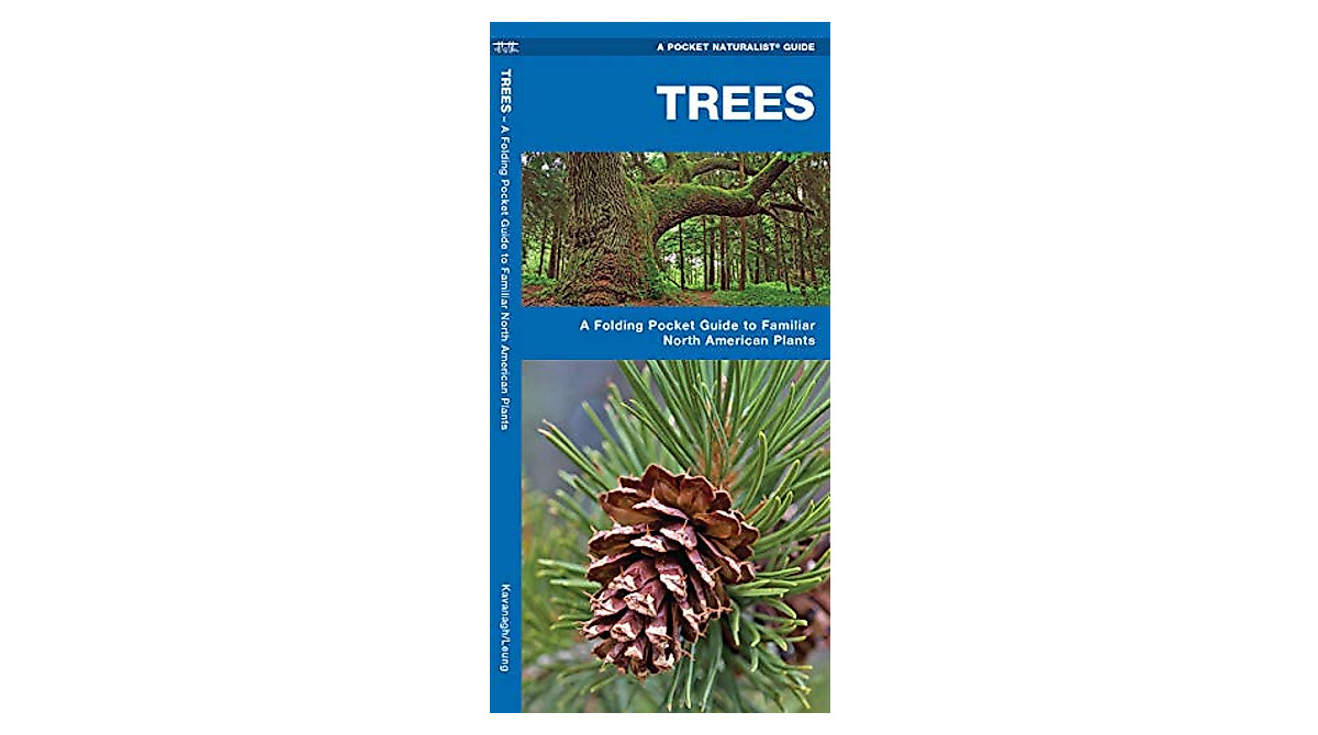 Explore North American Trees: Pocket Guide for Nature Lovers