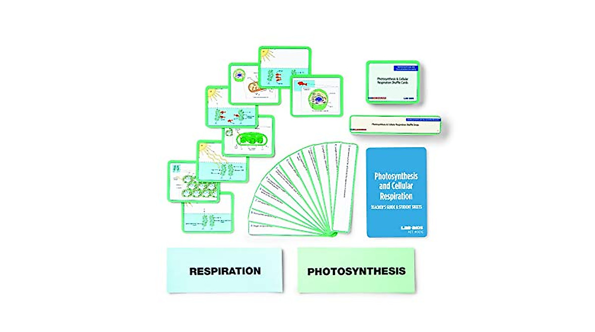 Photosynthesis & Cellular Respiration Kit for Science Education