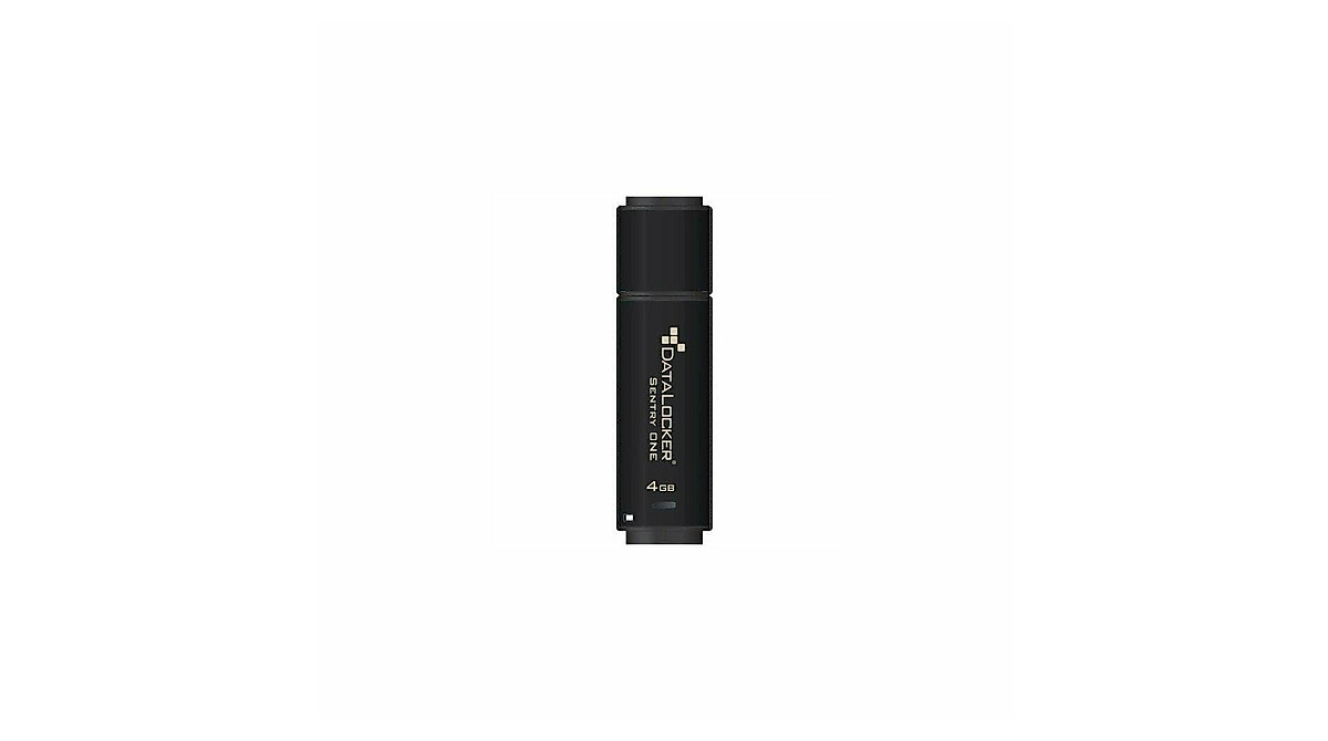 DataLocker Sentry ONE Encrypted Flash Drive - 4 GB - USB 3.1-256-bit ...