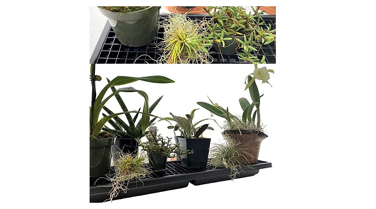 Humidity Tray for Indoor Plants | Bonsai & Orchids
