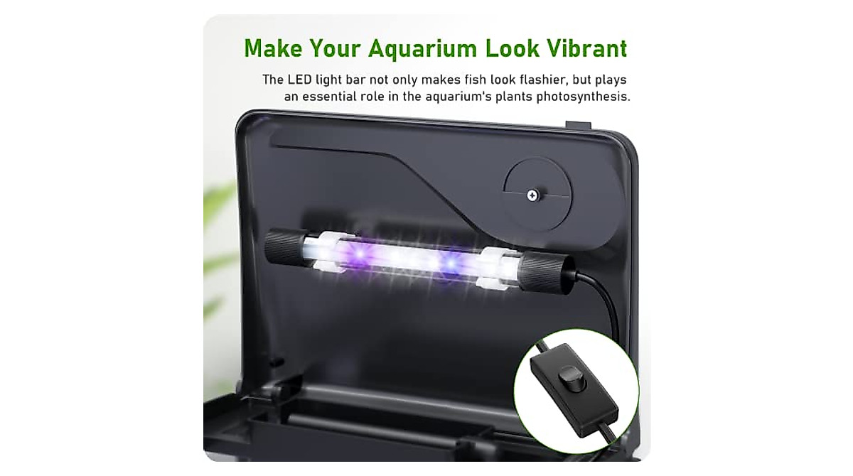 Curated visual reference: Pondon 2 Gallon Betta Fish Tank With Filter Light Photo Inspiration