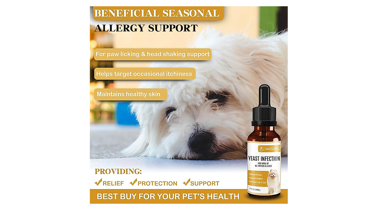 Dog Yeast Infection Treatment - Fast Relief for Dogs | SZYCKJGS