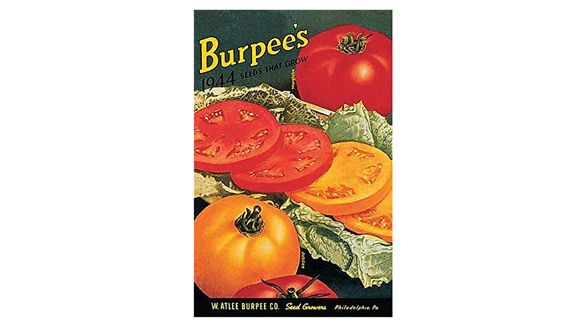 Vintage Burpee Tomato Seeds Metal Sign 8x12 for Decor
