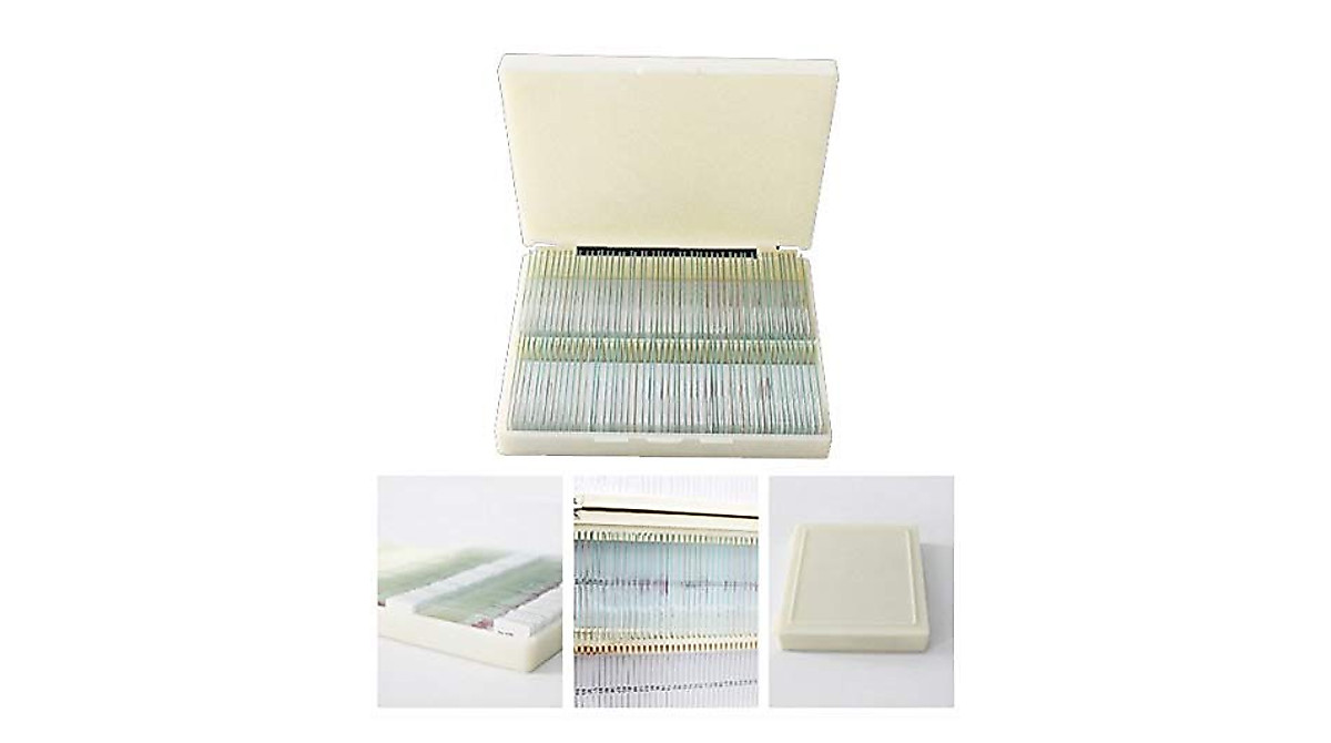 100 Microscope Histology Slides for Medical Education