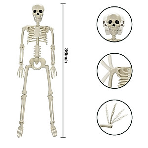36-Inch Halloween Skeleton Decor - Realistic Posable Skeleton Prop