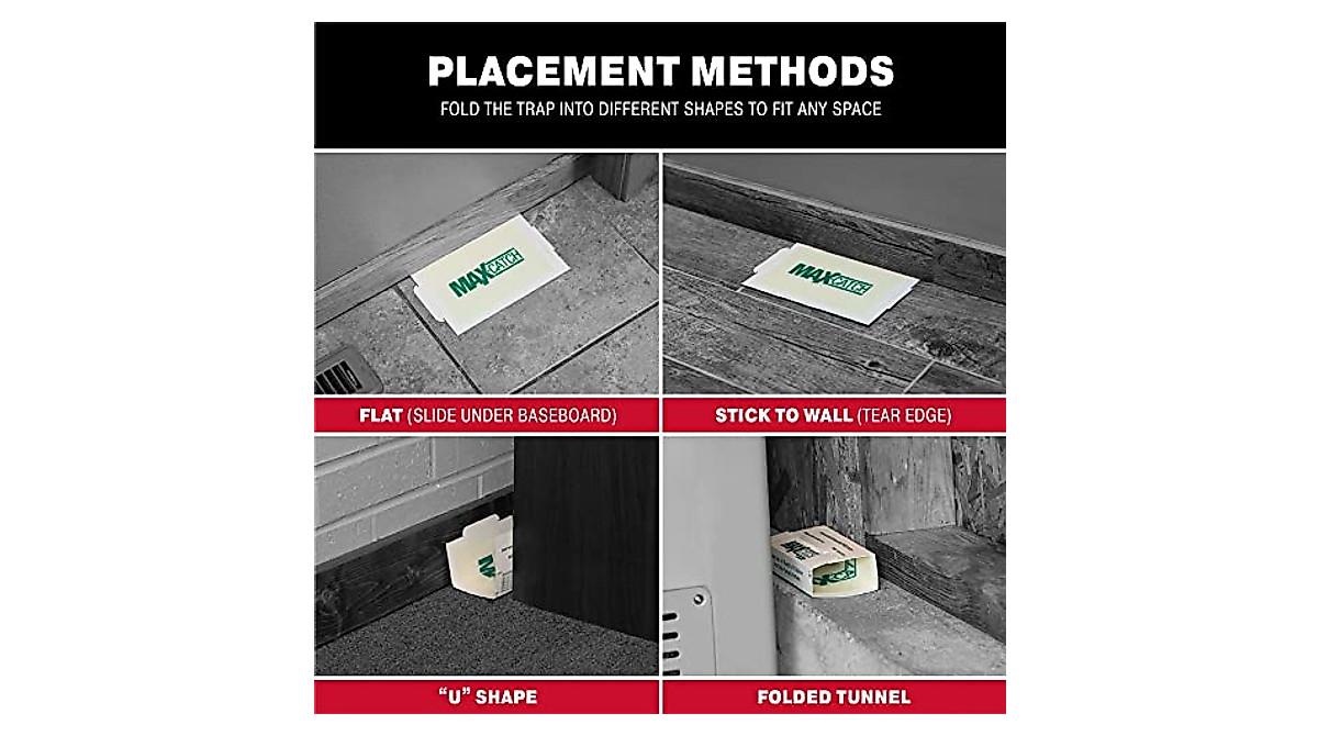 Catchmaster Pest Glue Trap - Effective Rodent Control