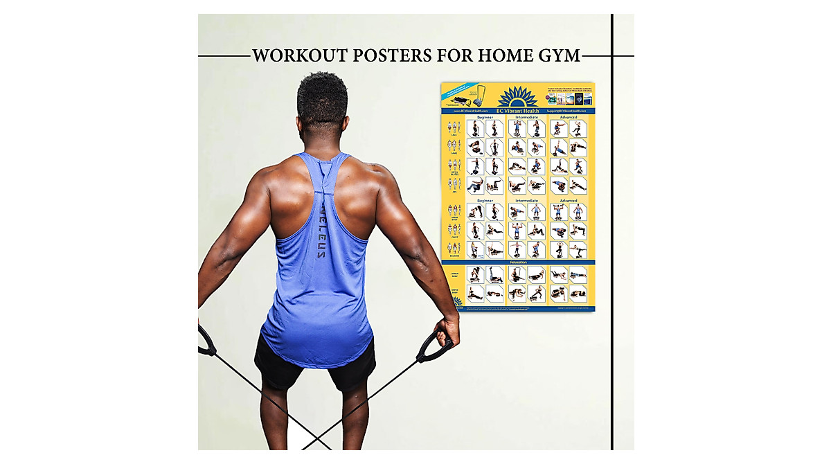 Full Body Vibration Workout Poster for Exercise Machine