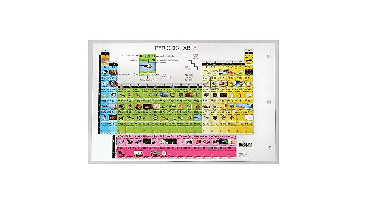 Carolina Infographic Periodic Table for Science Students
