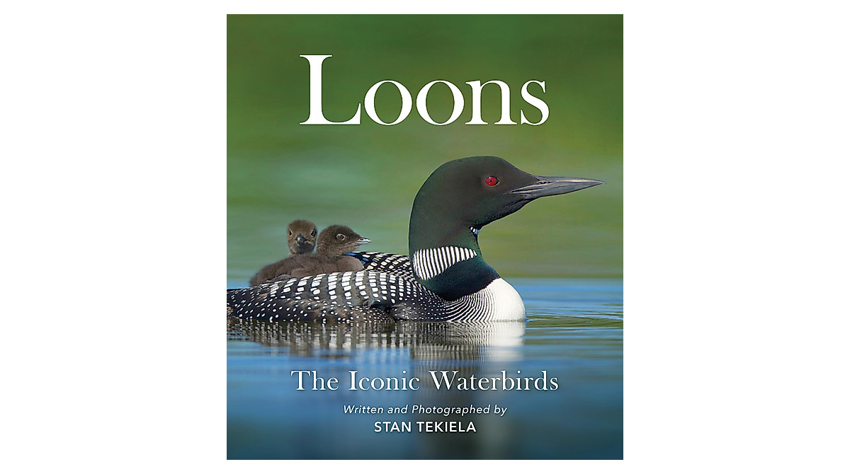 Loons: The Iconic Waterbirds by Stan Tekiela | Wildlife Photography Book