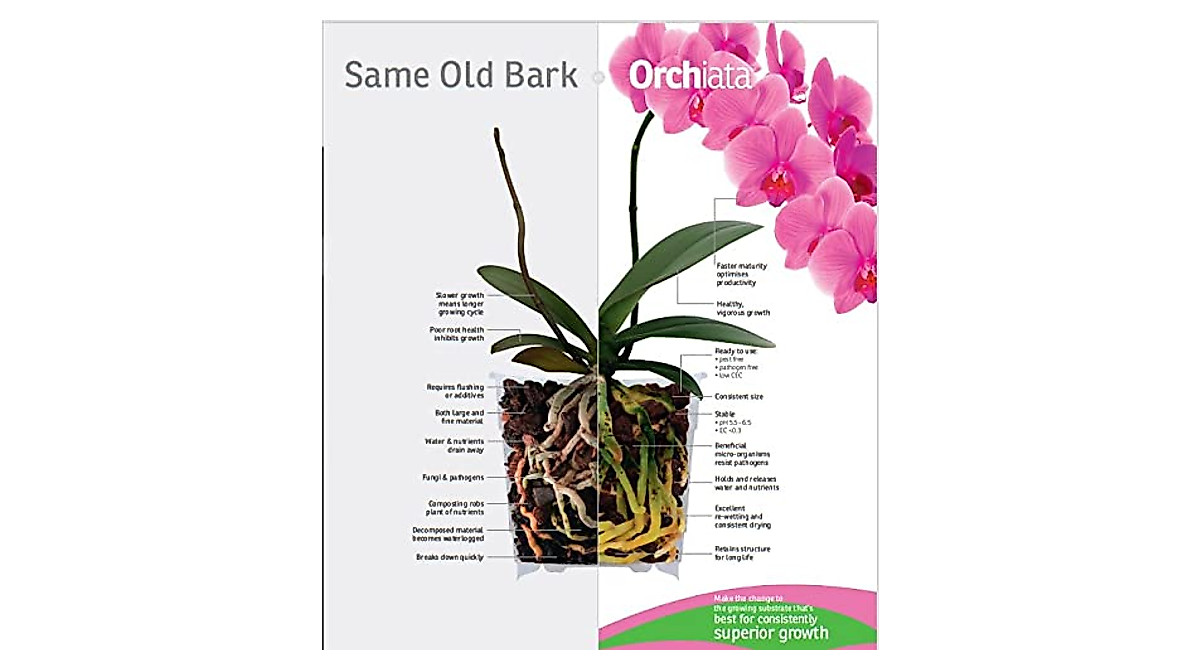 Orchiata Orchid Bark – Premium Potting Mix for Longevity