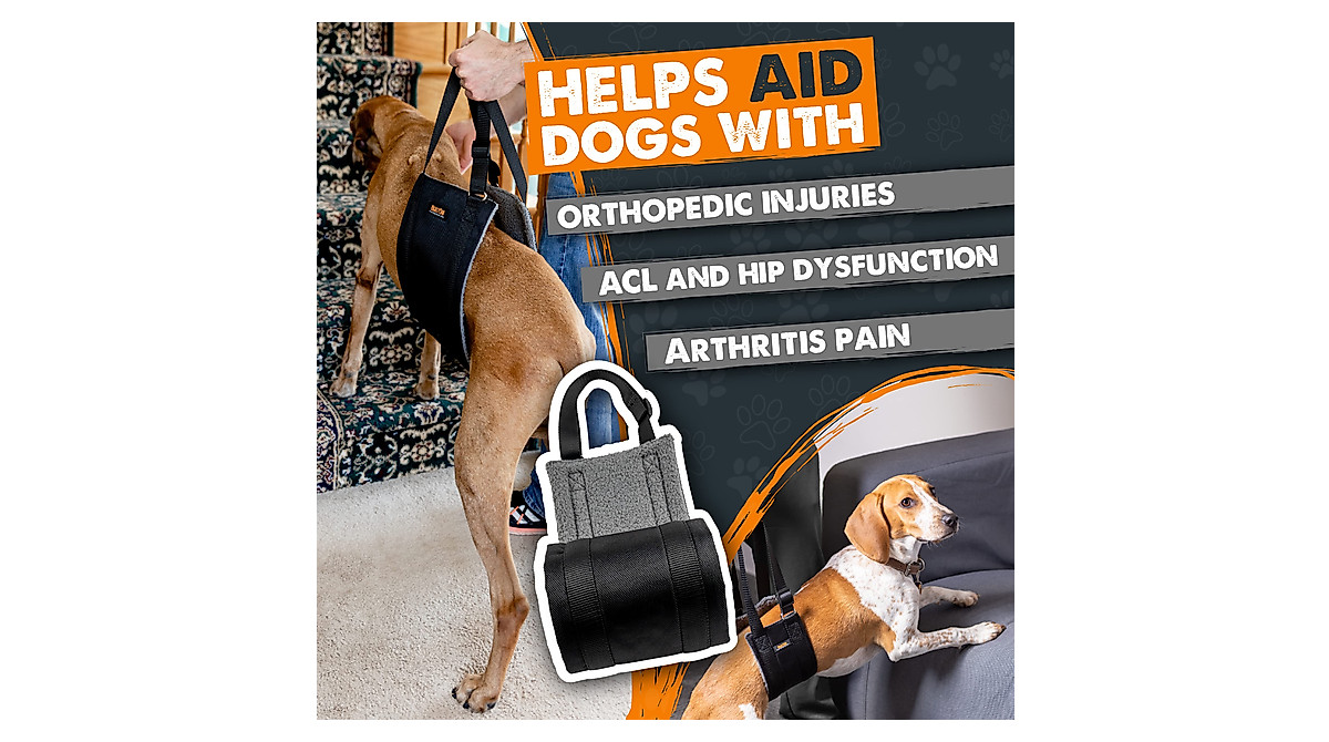 Mighty Paw Dog Lift Harness for Large Dogs