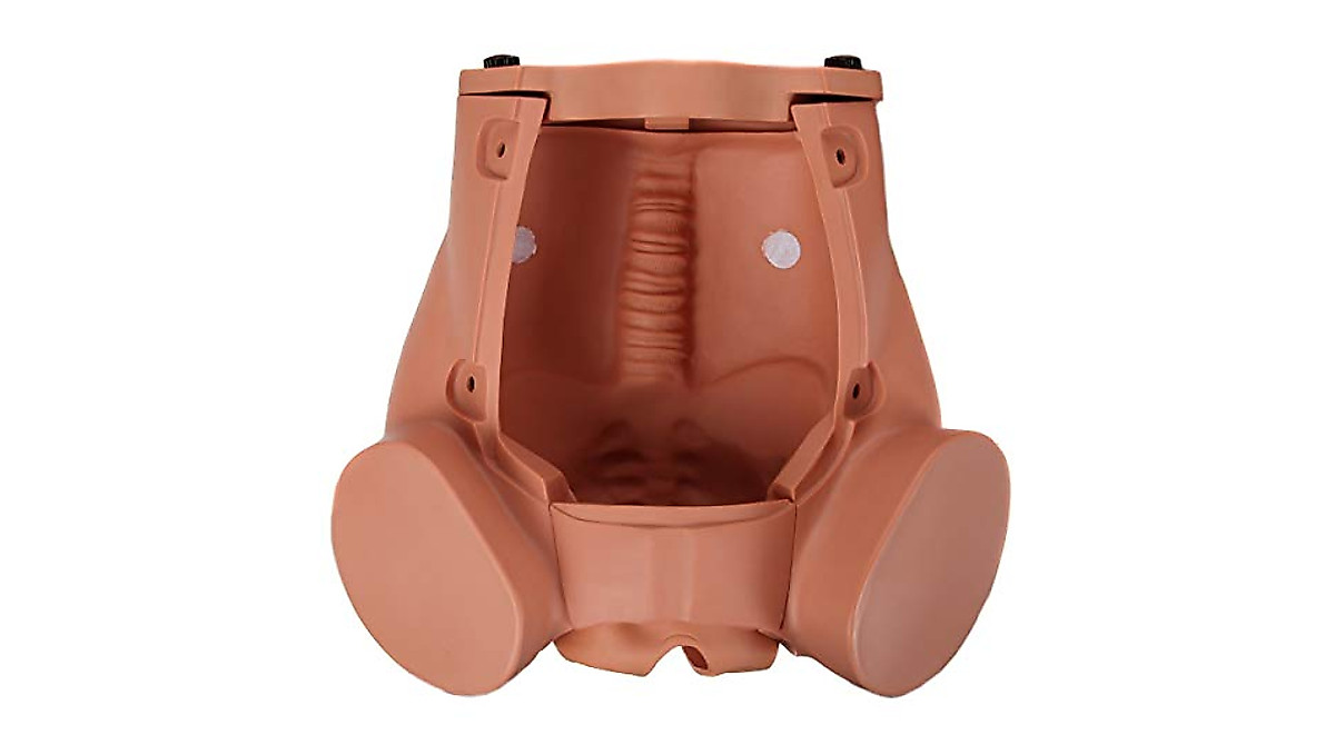Anatomy Lab C-Section Simulator for Medical Practice