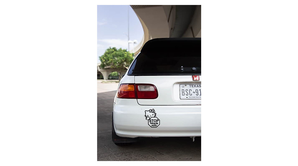 Kitty Stop Riding Vinyl Decal - Easy to Apply Sticker