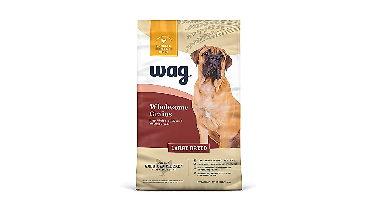 best affordable dog food