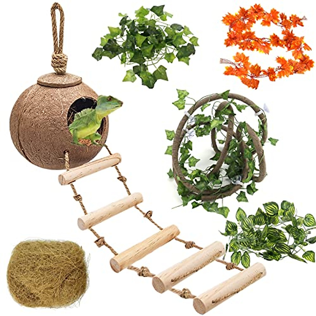 HERCOCCI Leopard Gecko Accessories for Reptile Habitats