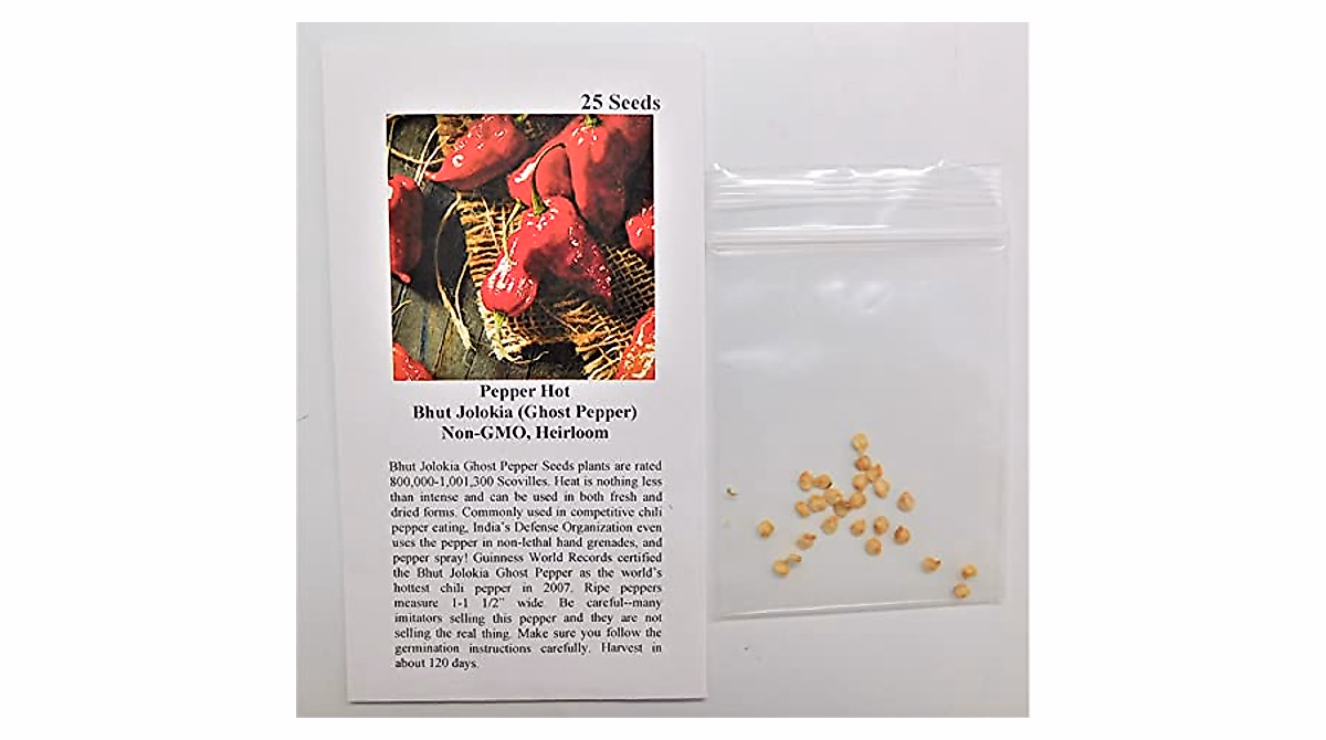 grow-ghost-pepper-seeds-intense-heat-non-gmo-david-s-garden-seeds