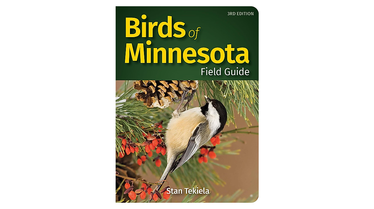 Birds of Minnesota Field Guide | Identify Minnesota Birds Easily