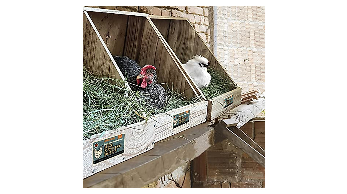 Premium Single Compartment Chicken Nesting Box for Up to 5 Hens