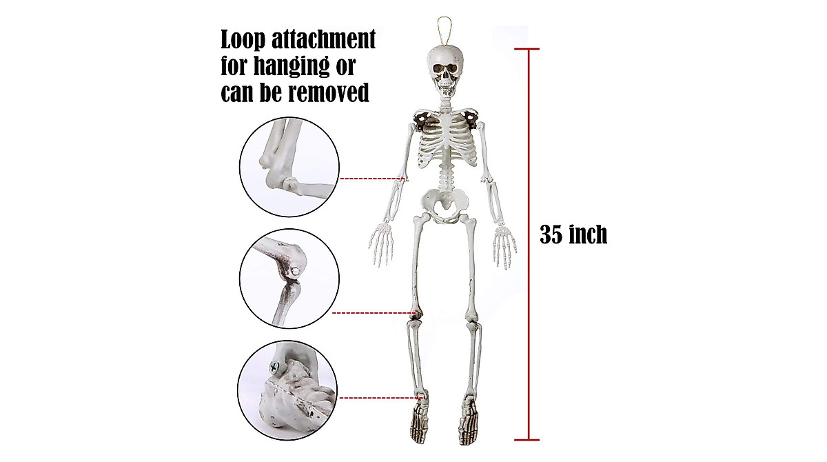 Sizonjoy 35-Inch Posable Halloween Skeleton for Haunted House Decor