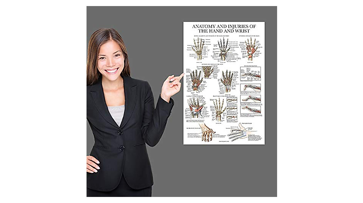 Laminated Hand & Wrist Anatomy Chart - Durable & Detailed