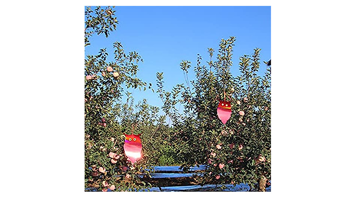 Protect Your Garden with Owl-Shaped Reflectors - Humane Bird Deterrent
