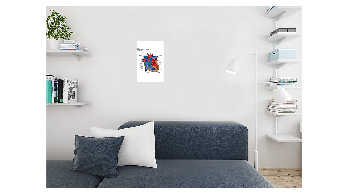 Human Heart Anatomy Diagram Poster - Educational Wall Art