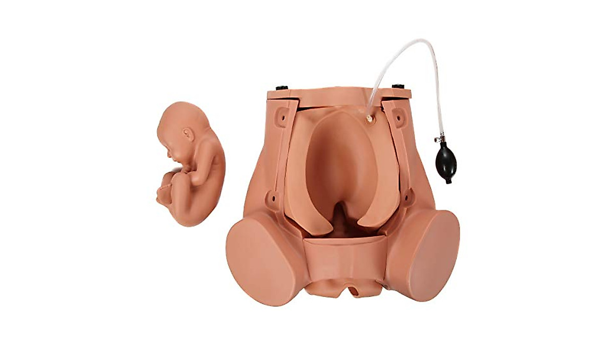 Anatomy Lab C-Section Simulator for Medical Practice