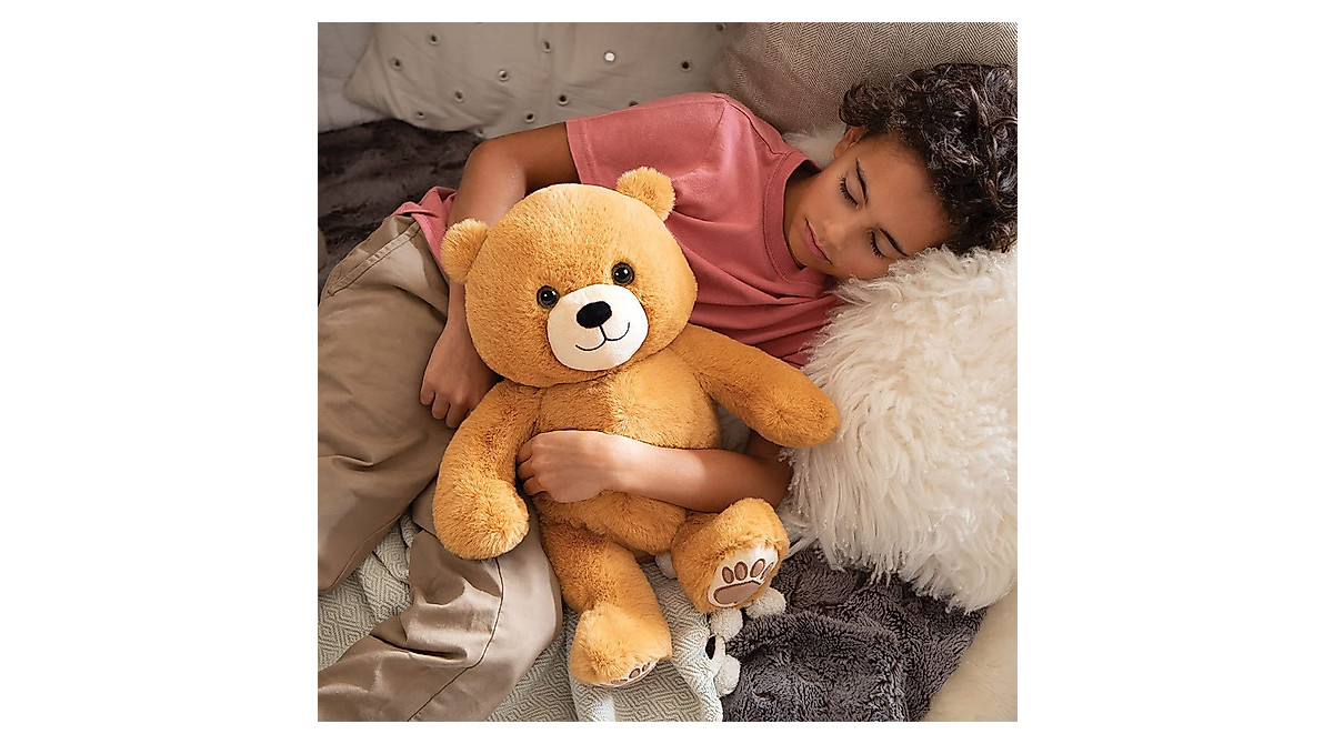Hugsy Teddy Bear - Adorable 20 Inch Stuffed Animal